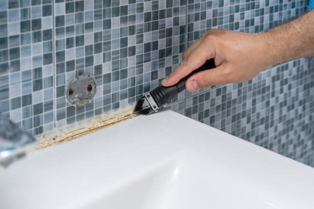 Best Mold Removal Process  in Cascades, VA