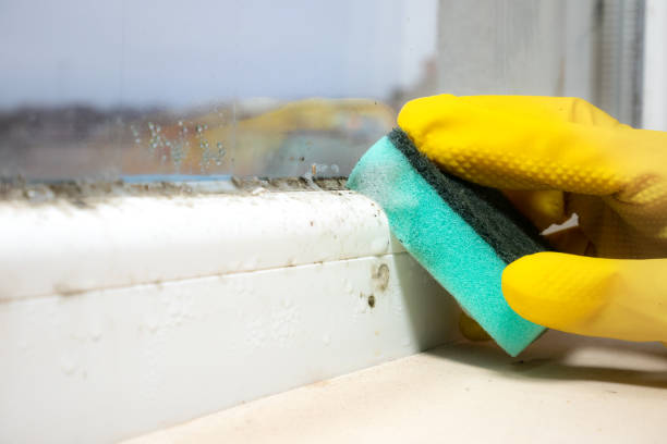 Best Crawl Space Mold Removal  in Cascades, VA