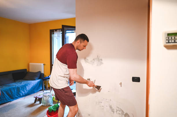 Best Affordable Mold Removal  in Cascades, VA
